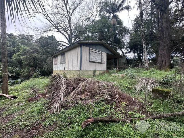 Terreno, foto 3