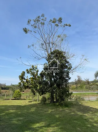 Área rural, foto 19