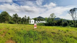 Vista externa de uma área de campo com vegetação densa e árvores em Lajeado, Brasil.