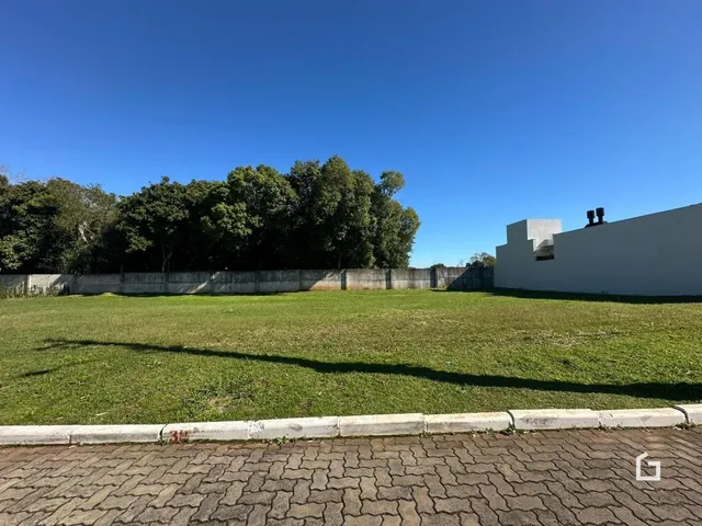 Terreno, foto 3
