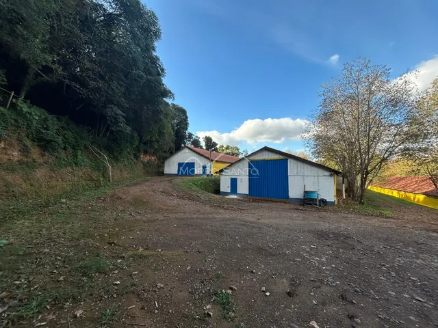Vista externa da propriedade mostrando uma estrada de terra e vegetação densa.