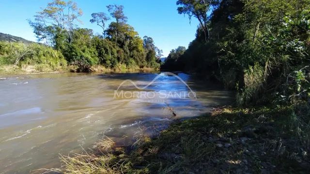 Vista de um rio largo com vegetação densa nas margens.