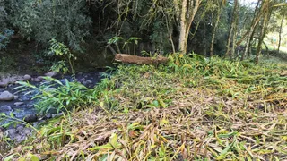 Área rural, foto 8