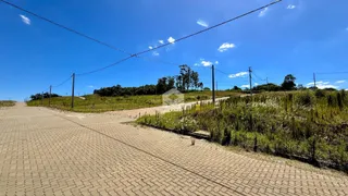 Terreno, foto 3