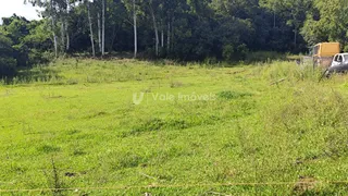 Área rural, foto 4