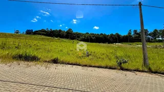 Paisagem de campo com vegetação verde e estrada no primeiro plano.