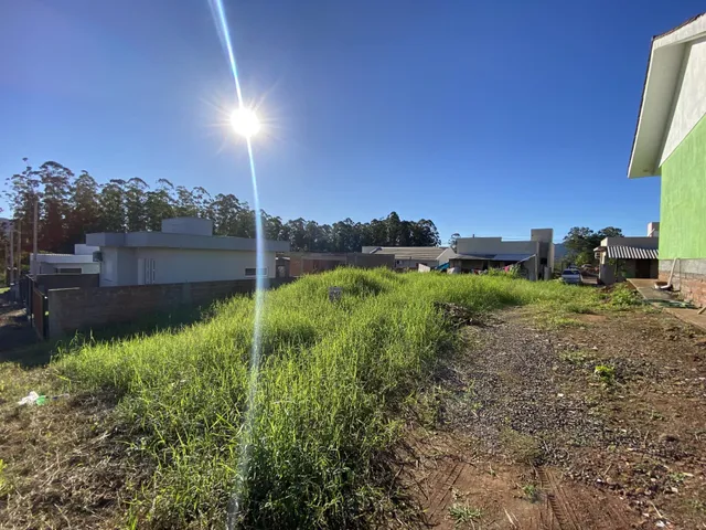 Terreno, foto 2