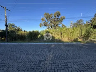 Vista da fachada da propriedade com vegetação e pavimento.