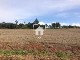 Terreno, foto 5