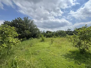 Terreno, foto 5