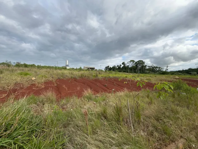 Vista de uma paisagem de campo com vegetação seca e terra vermelha sob um céu nublado.