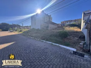 Vista externa de uma propriedade com paisagismo e rua pavimentada.