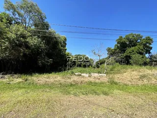 Vista da paisagem com vegetação densa e grama no primeiro plano.