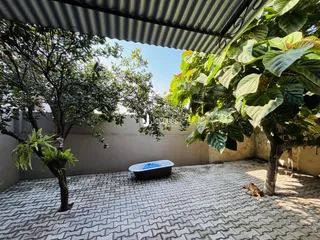 Vista externa de um pátio com piso de tijolos e vegetação exuberante.