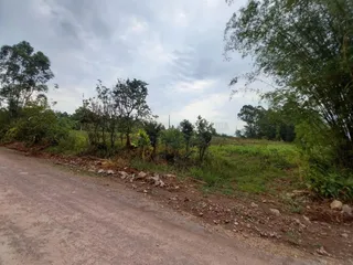 Terreno, foto 6