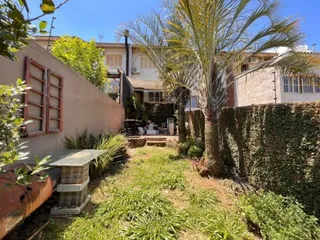 Jardim externo com grama e palmeira em uma residência.