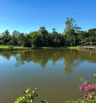 Terreno, foto 9