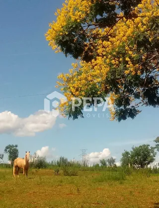 Área rural com 3 dormitórios, foto 25