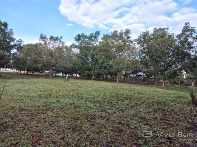 Área rural, foto 3