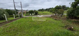 Terreno, foto 2