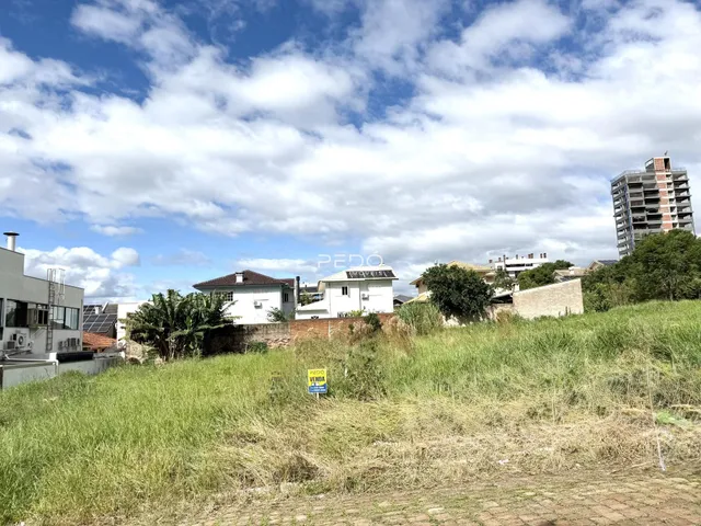 Paisagem de grama alta em frente a residências e um prédio alto ao fundo.