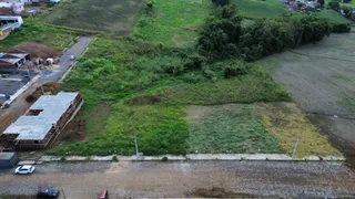 Terreno, foto 6