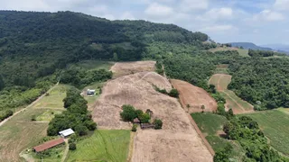 Vista panorâmica de uma área rural com colinas e vegetação densa.