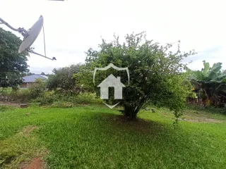 Área rural com 3 dormitórios, foto 21