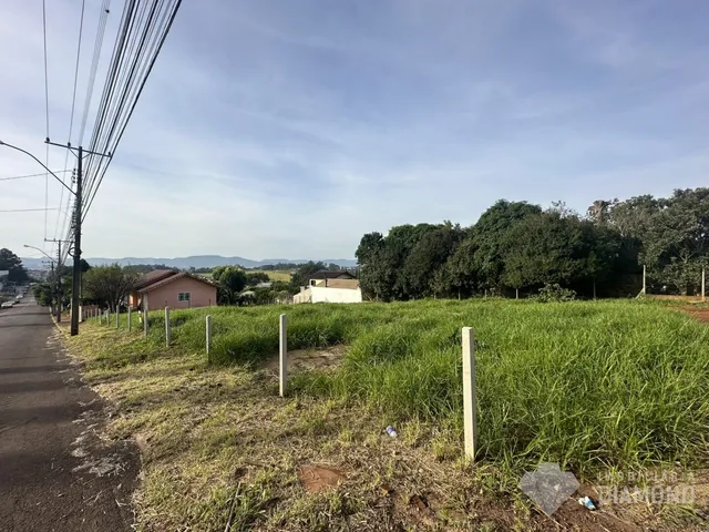 Terreno, foto 3