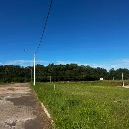 Vista de um campo verde aberto sob um céu azul claro.