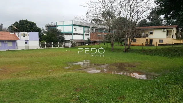 Terreno, foto 2