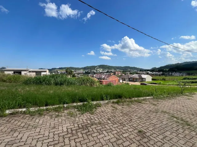 Terreno, foto 3