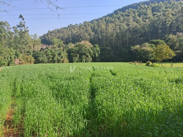 Área rural, foto 5