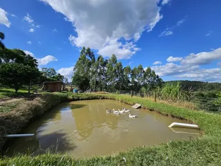 Área rural, foto 8