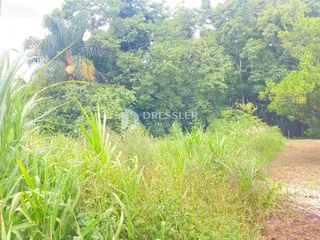 Terreno, foto 11