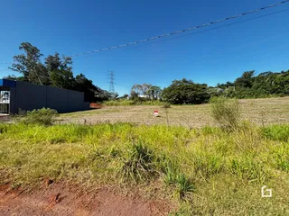 Vista de uma área de campo com vegetação alta.