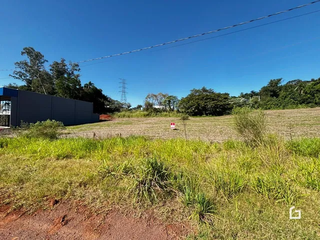 Vista de uma área de campo com vegetação alta.