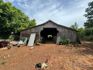 Área rural com 4 dormitórios, foto 19