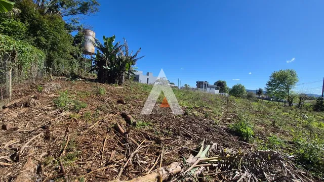 Terreno, foto 5