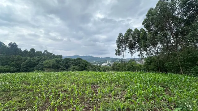 Área rural, foto 3