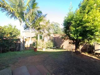Vista externa do terreno com vegetação e muro de tijolos.