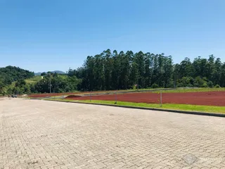 Vista de um campo aberto com árvores ao fundo sob um céu azul.