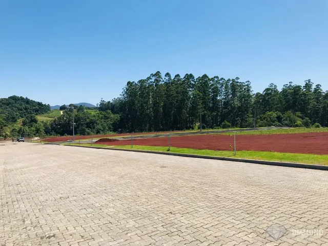 Vista de um campo aberto com árvores ao fundo sob um céu azul.