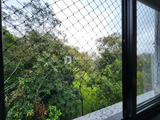 Vista de vegetação densa através de uma cerca.