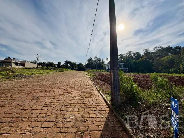 Terreno, foto 3