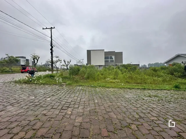 Terreno, foto 2