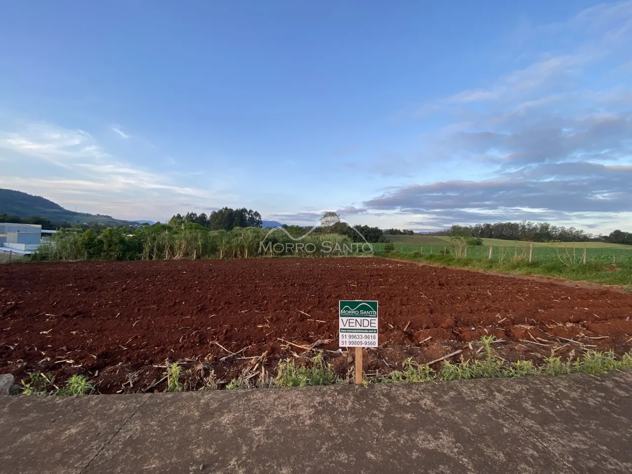 Vista de um campo aberto com vegetação ao fundo sob um céu azul.