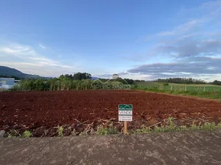 Vista de um campo aberto com vegetação ao fundo sob um céu azul.