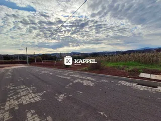 Vista da estrada e paisagem rural em Lajeado.