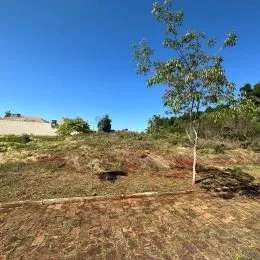 Vista externa de um terreno aberto com vegetação seca sob um céu azul.
